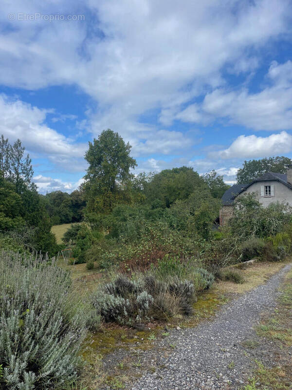 IMG_2435 - Copie - Maison à OLORON-SAINTE-MARIE