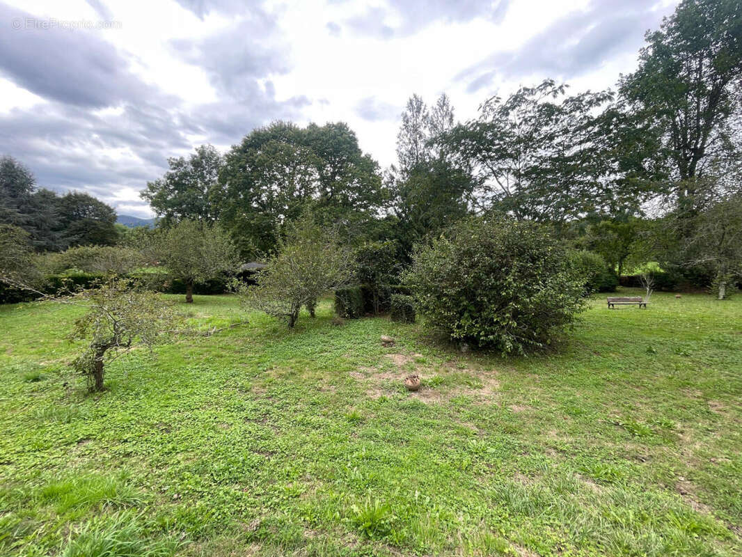 IMG_2693 - Maison à OLORON-SAINTE-MARIE