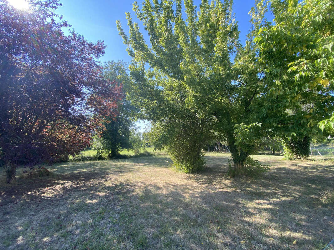 jardin - Maison à CHALAIS