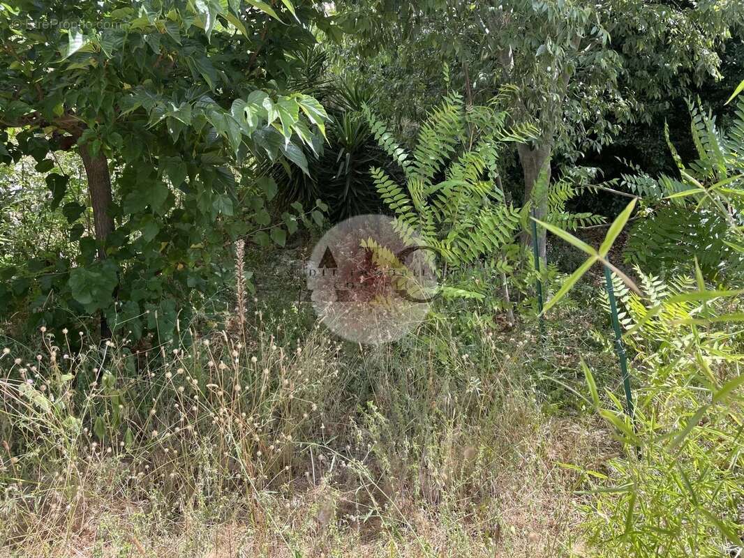 Appartement à FAYENCE