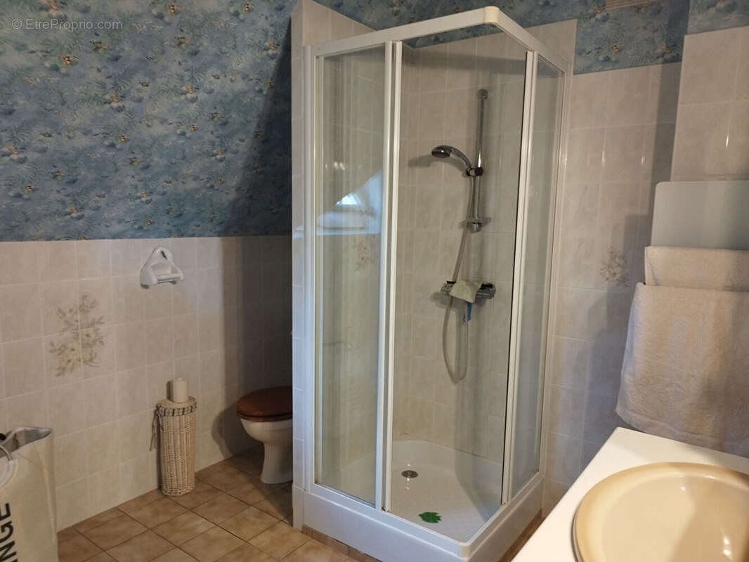 Maison à CHATILLON-SUR-CHER