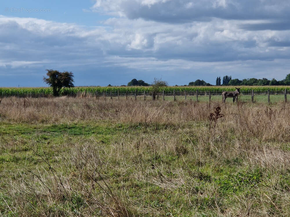 Maison à FONTAINE-SIMON