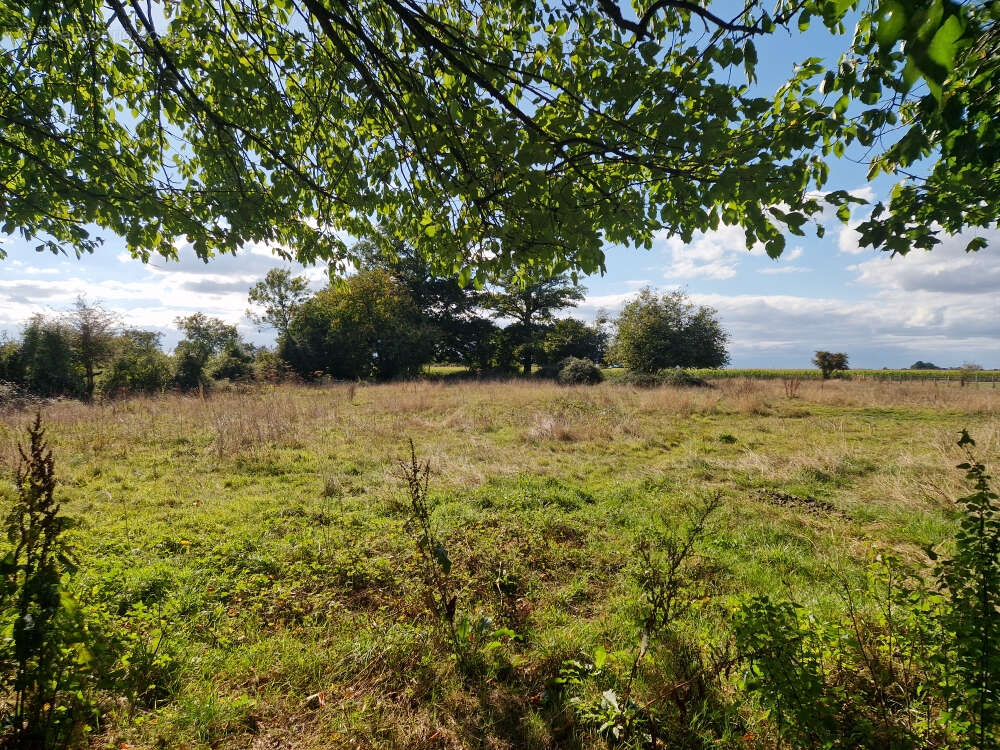 Maison à FONTAINE-SIMON