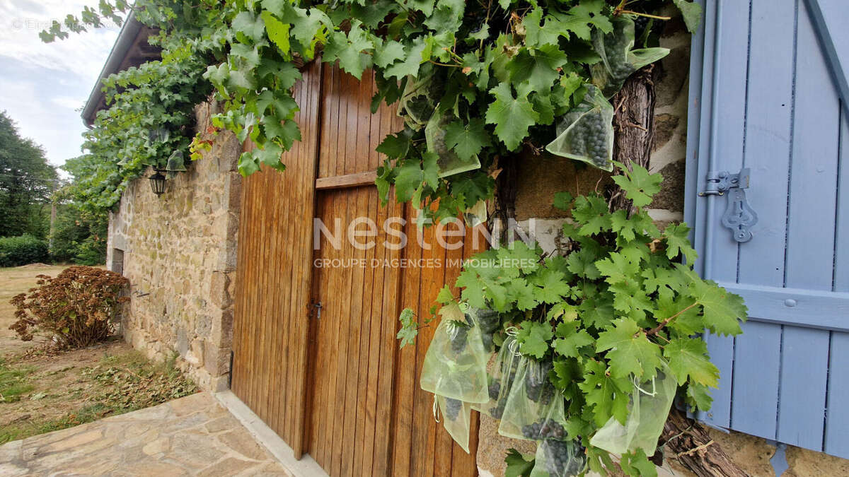 Maison à PIEGUT-PLUVIERS