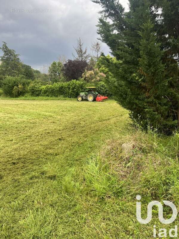 Photo 6 - Terrain à ROQUEFORT