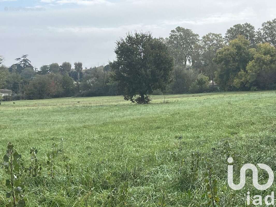 Photo 8 - Terrain à ROQUEFORT