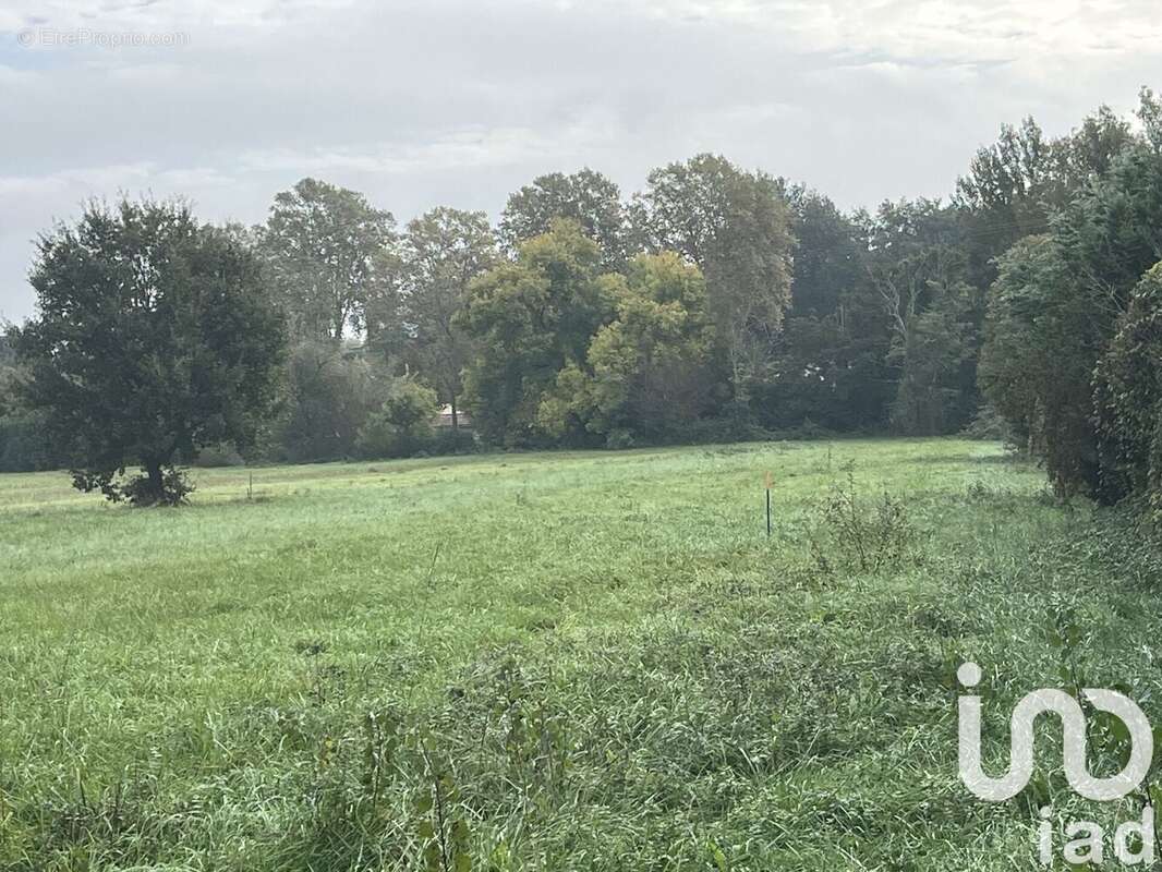 Photo 9 - Terrain à ROQUEFORT