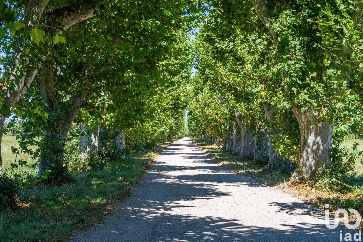 Photo 9 - Maison à SALON-DE-PROVENCE