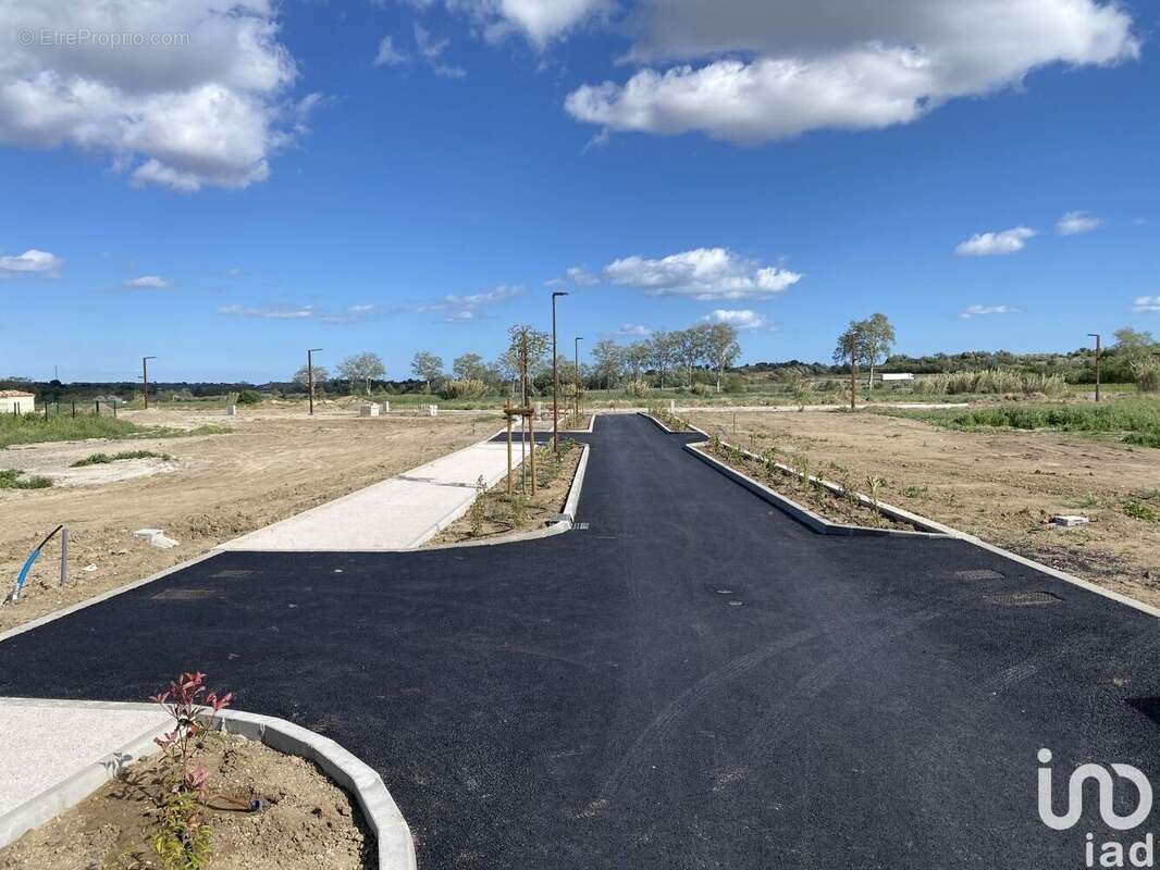 Photo 5 - Terrain à TOURBES