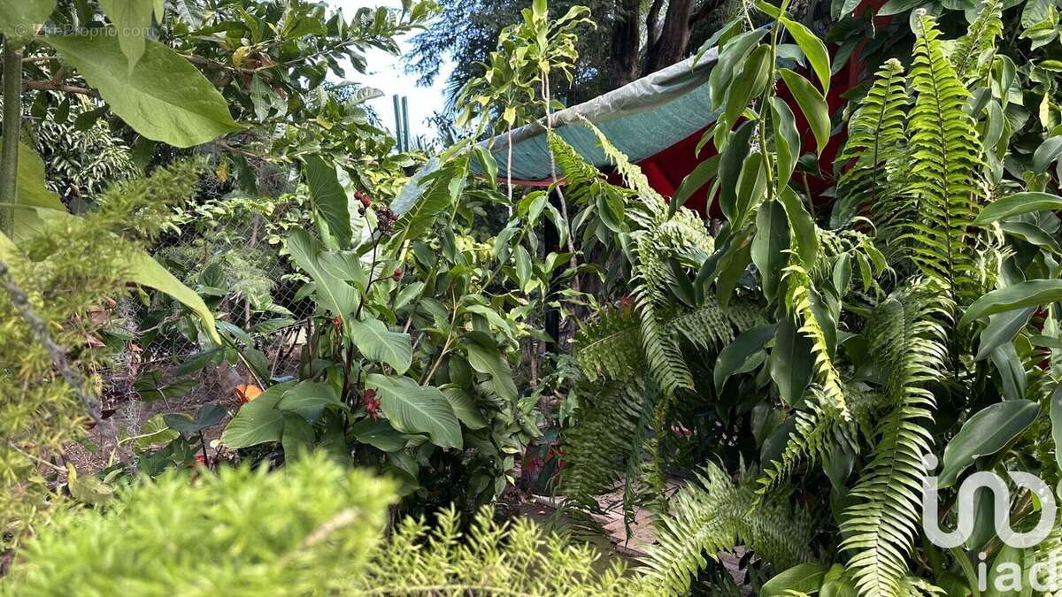 Photo 2 - Maison à L&#039;ETANG-SALE