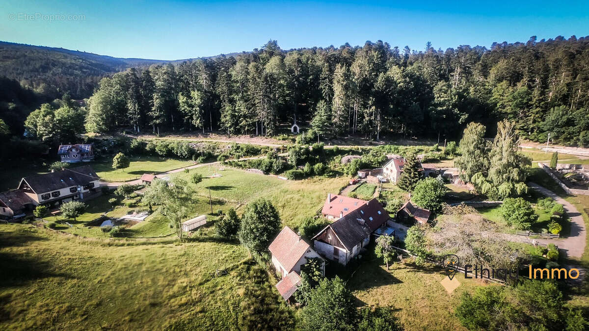 Terrain à LE HOHWALD