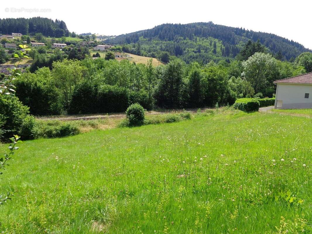 Terrain à CHAMBOST-ALLIERES