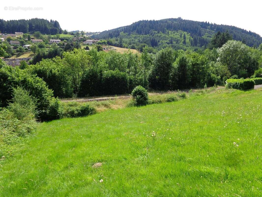 Terrain à CHAMBOST-ALLIERES