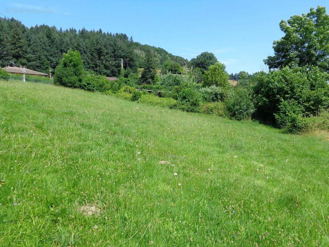 Terrain à CHAMBOST-ALLIERES