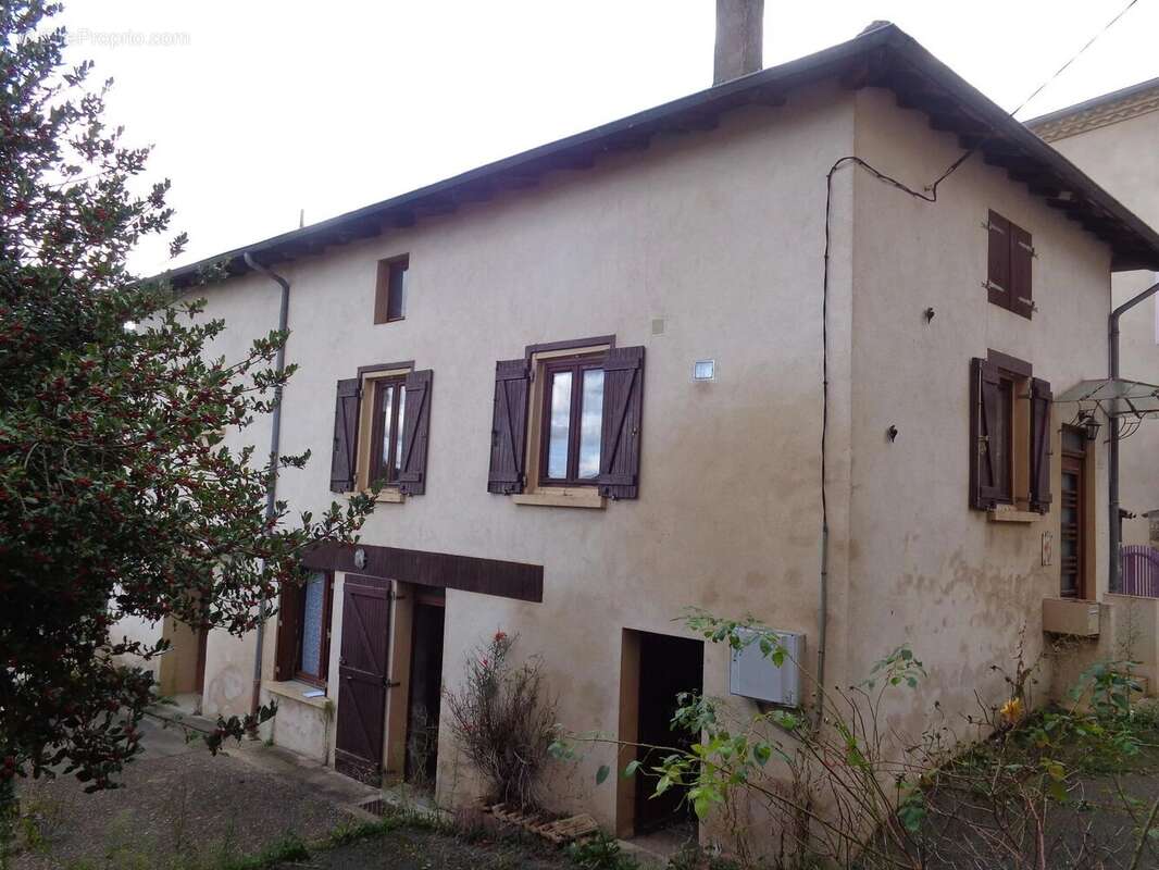 Maison à SAINT-NIZIER-D&#039;AZERGUES