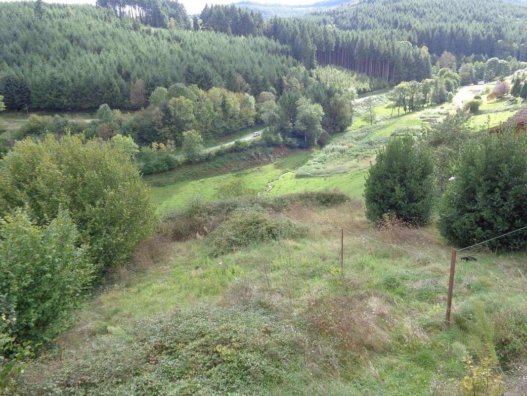 Maison à SAINT-NIZIER-D&#039;AZERGUES