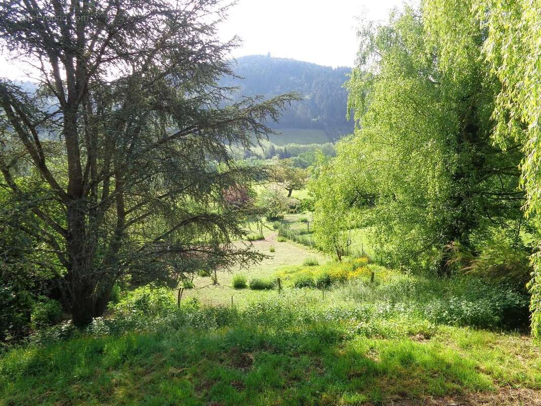 Maison à CHAMBOST-ALLIERES