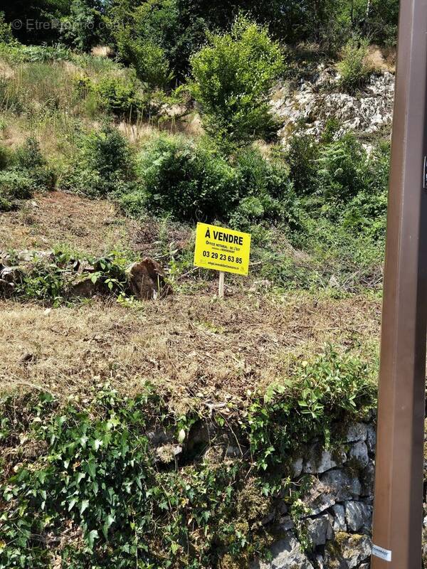 Terrain à SAINT-NABORD