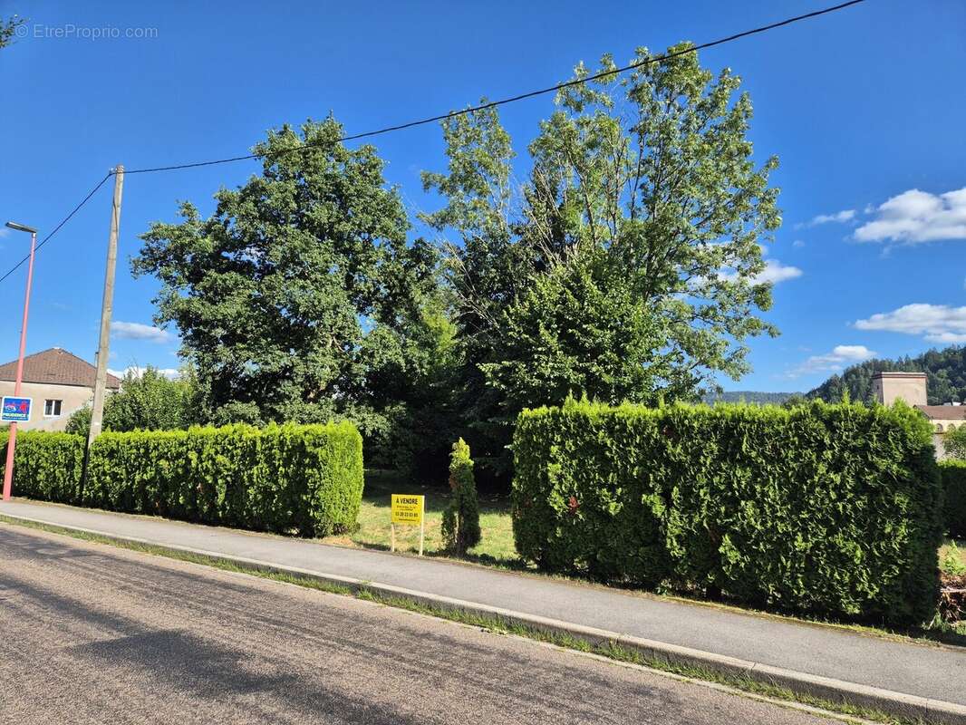 Terrain à RAMONCHAMP