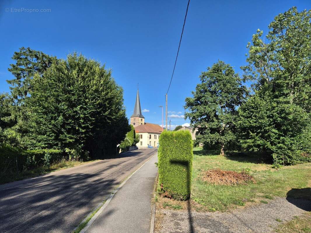 Terrain à RAMONCHAMP