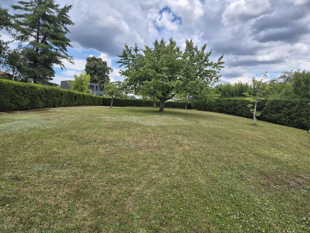 Terrain à CHAUMOUSEY