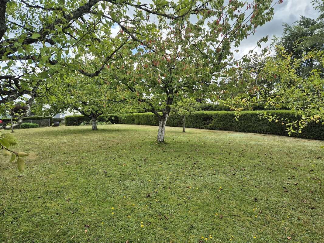 Terrain à CHAUMOUSEY