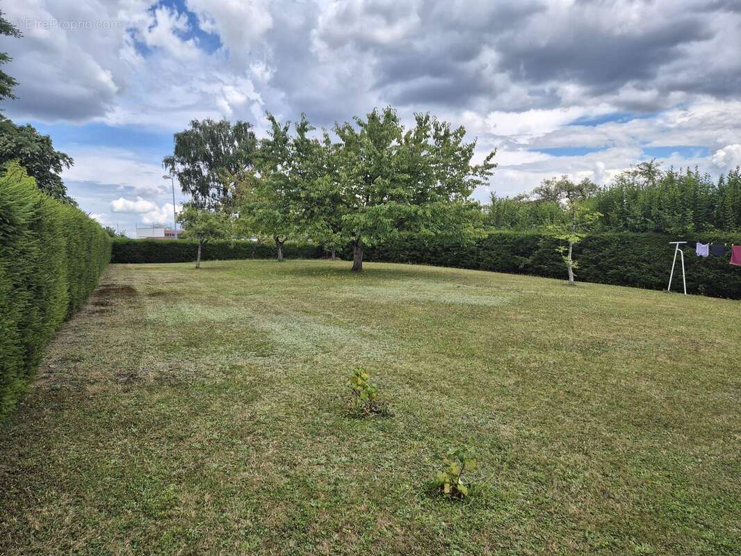 Terrain à CHAUMOUSEY