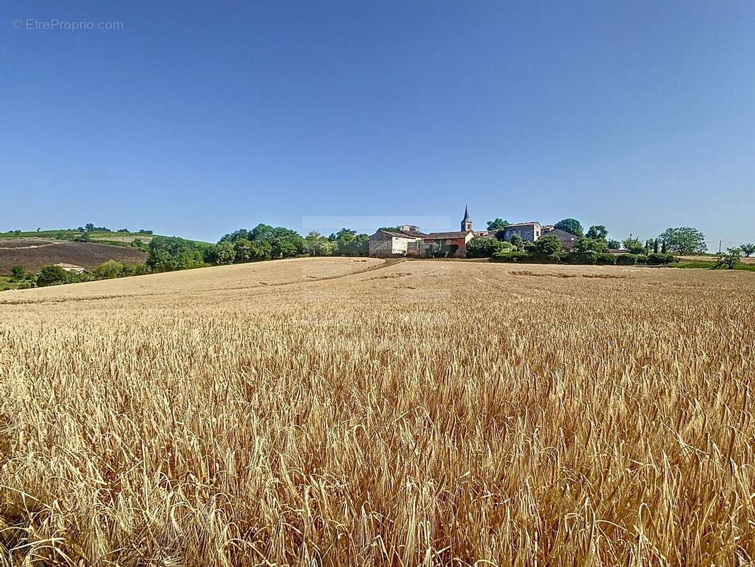 Maison à CORDES-SUR-CIEL