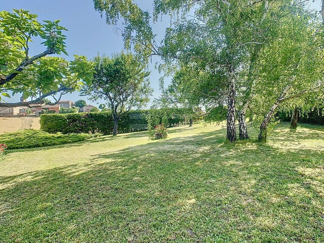 Maison à CORDES-SUR-CIEL