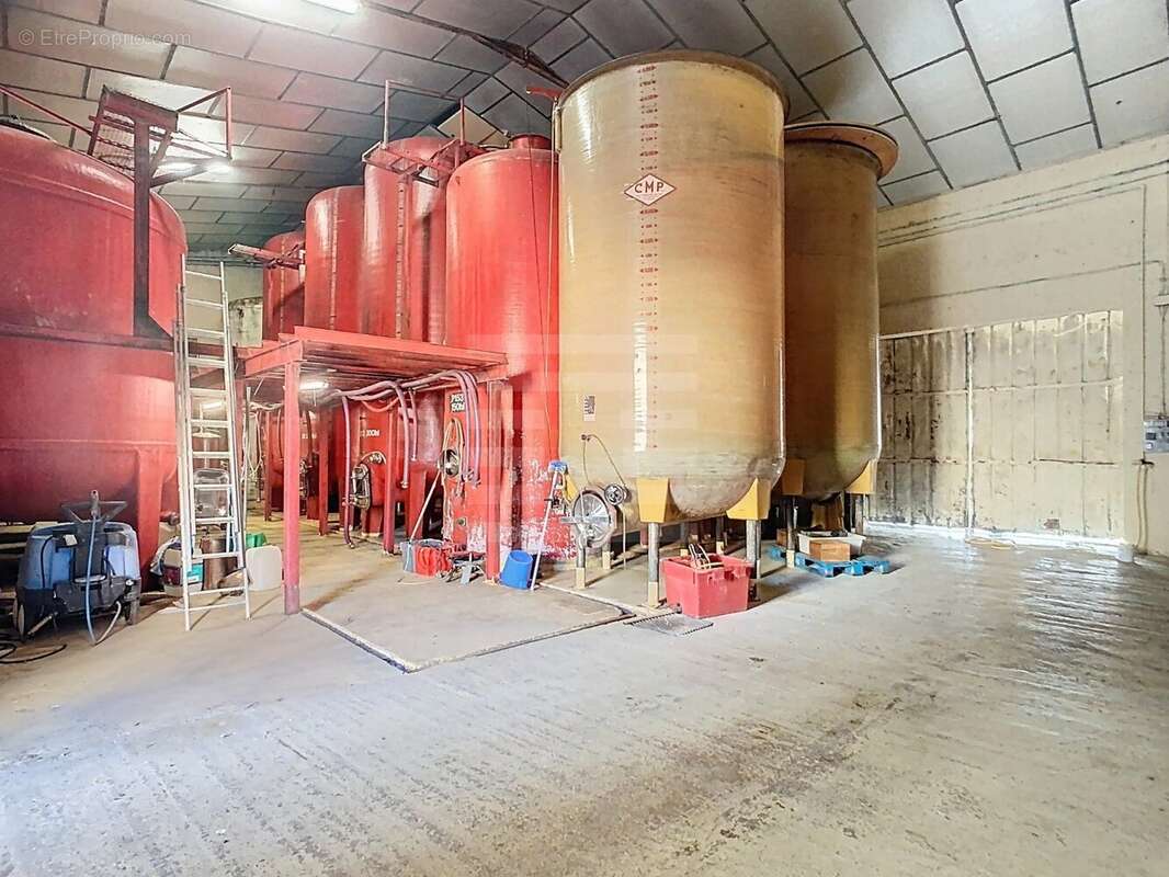 Maison à CORDES-SUR-CIEL