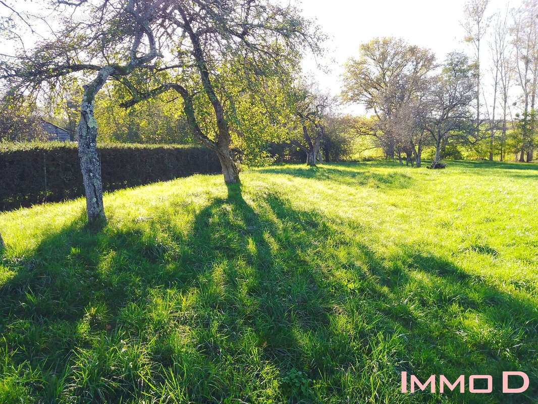 Terrain à SAINTE-HELENE