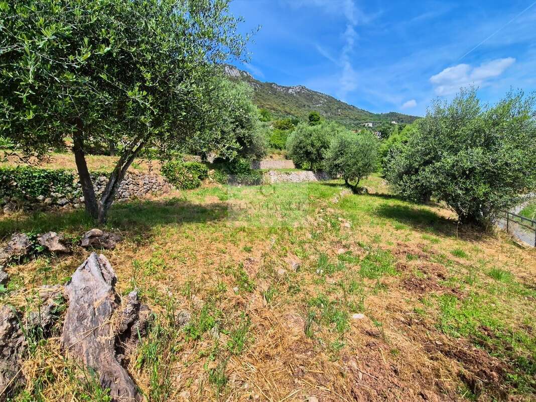 Terrain à CHATEAUNEUF-VILLEVIEILLE