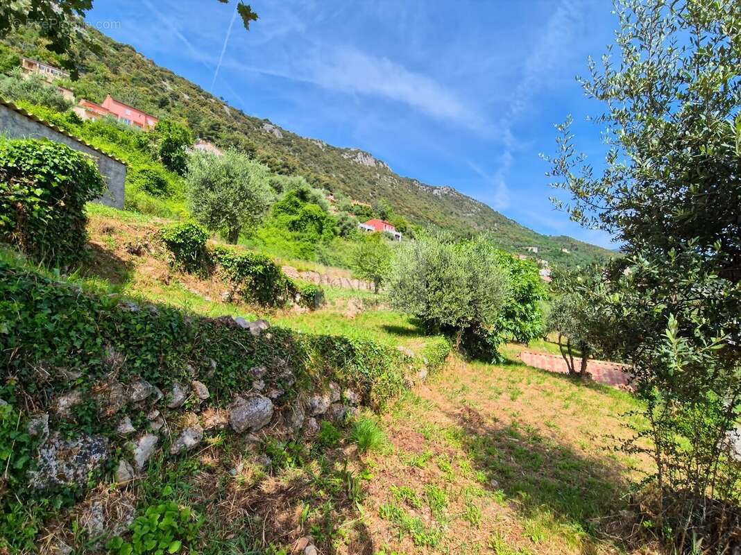 Terrain à CHATEAUNEUF-VILLEVIEILLE