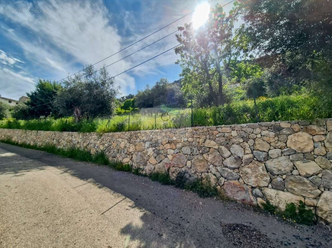 Terrain à CHATEAUNEUF-VILLEVIEILLE