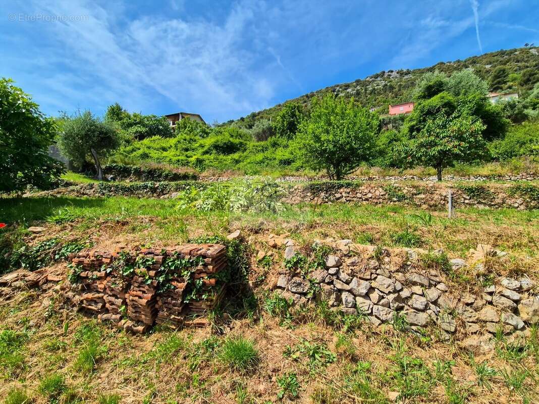 Terrain à CHATEAUNEUF-VILLEVIEILLE