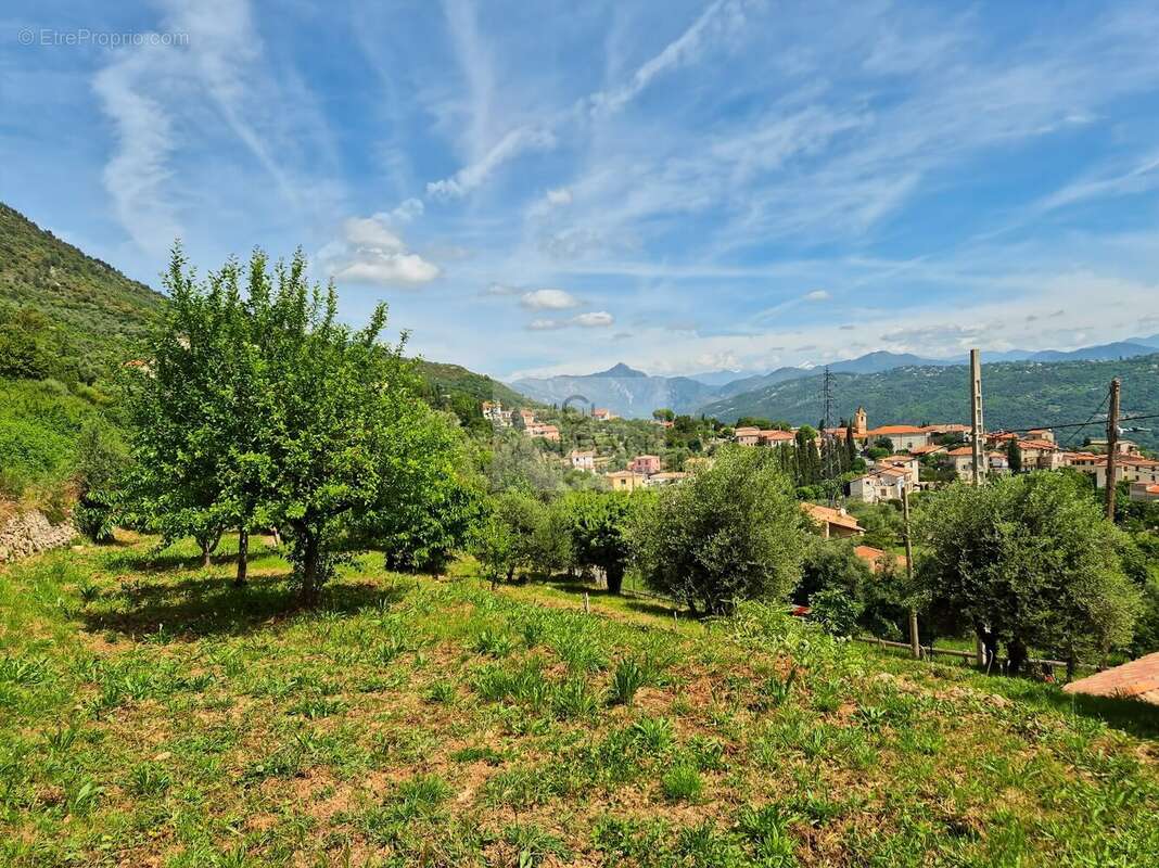 Terrain à CHATEAUNEUF-VILLEVIEILLE