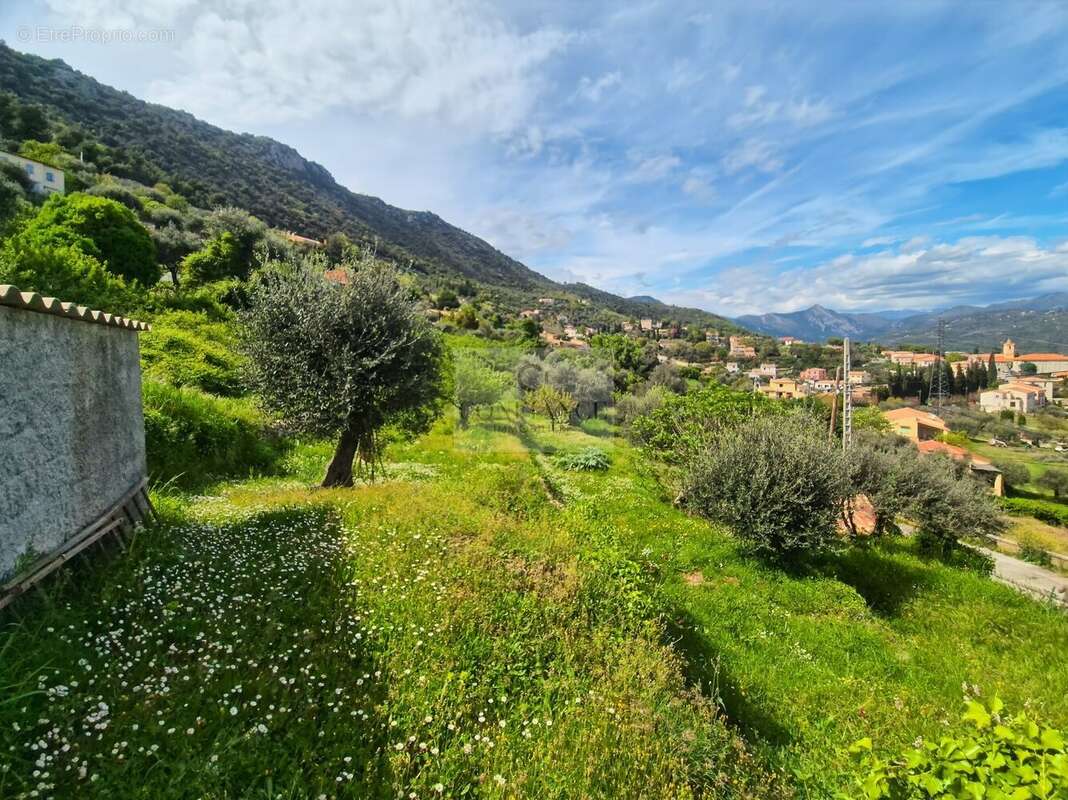 Terrain à CHATEAUNEUF-VILLEVIEILLE