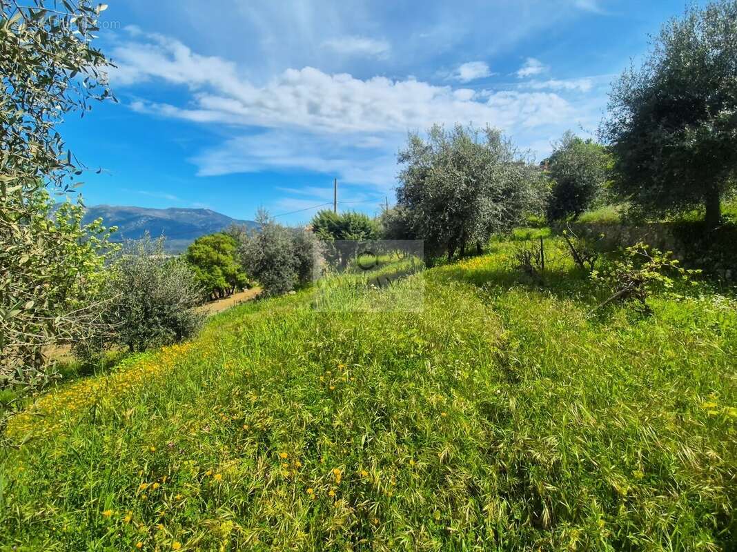 Terrain à CHATEAUNEUF-VILLEVIEILLE