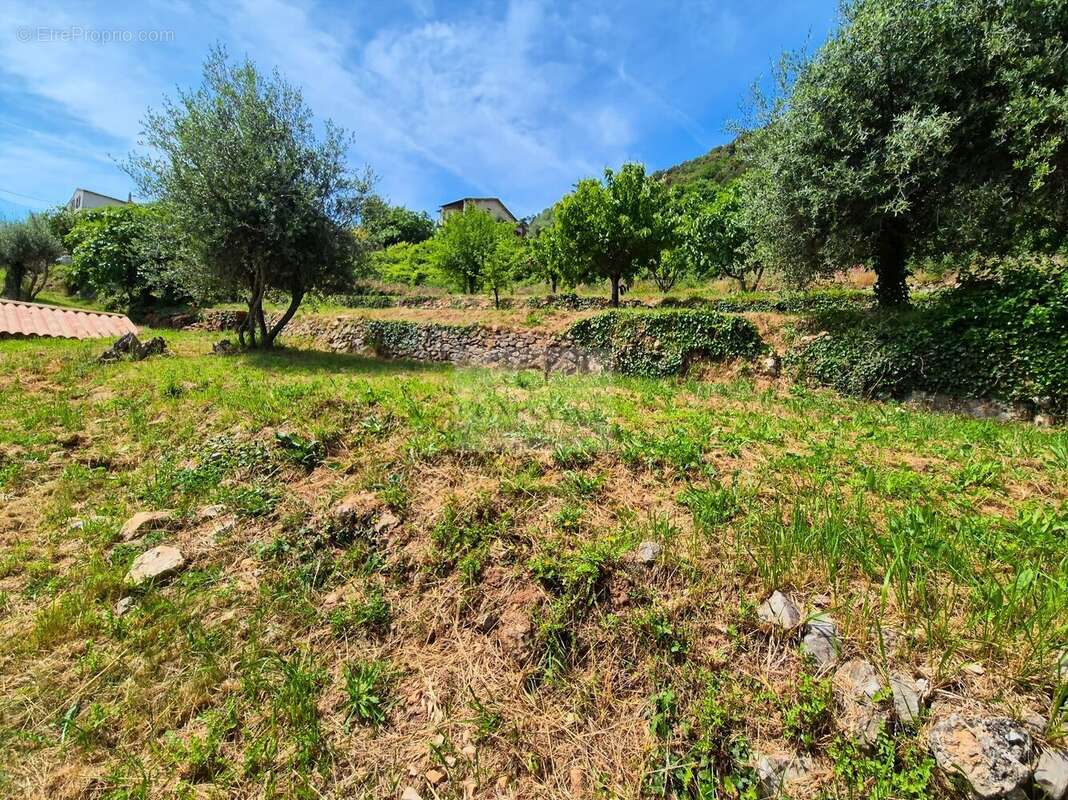 Terrain à CHATEAUNEUF-VILLEVIEILLE