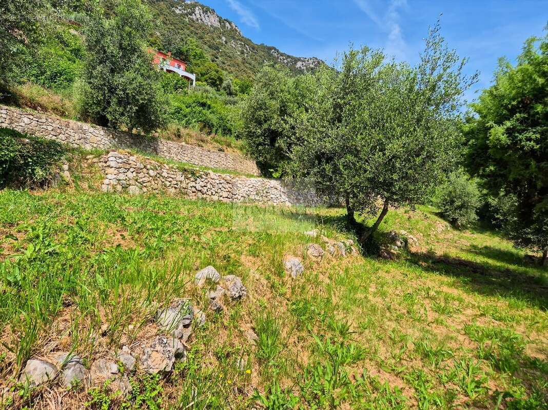 Terrain à CHATEAUNEUF-VILLEVIEILLE