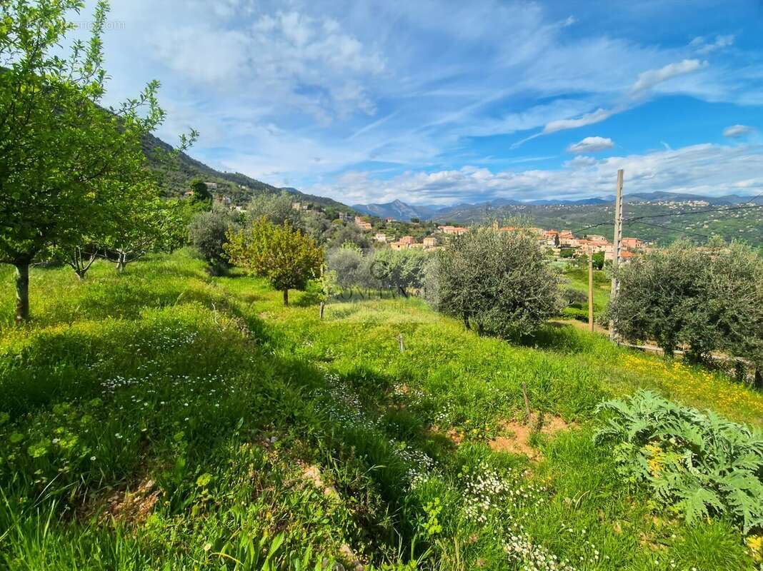 Terrain à CHATEAUNEUF-VILLEVIEILLE