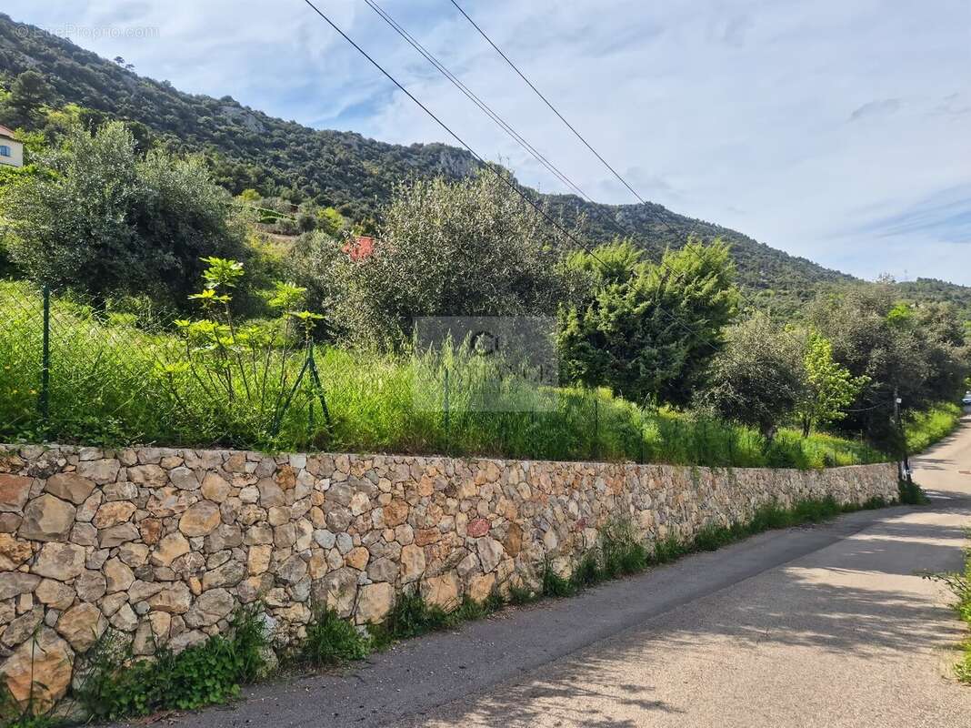 Terrain à CHATEAUNEUF-VILLEVIEILLE
