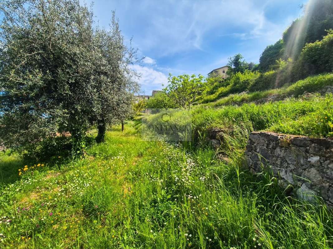 Terrain à CHATEAUNEUF-VILLEVIEILLE