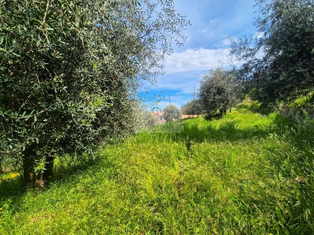Terrain à CHATEAUNEUF-VILLEVIEILLE