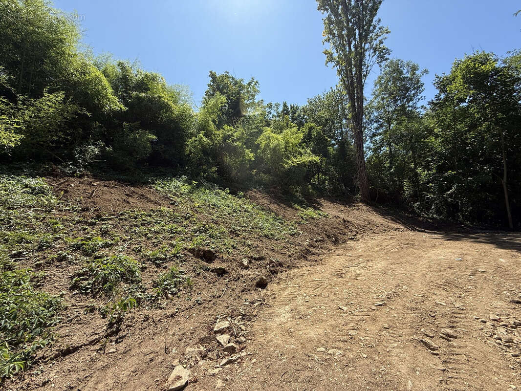 Terrain à CHAPONOST