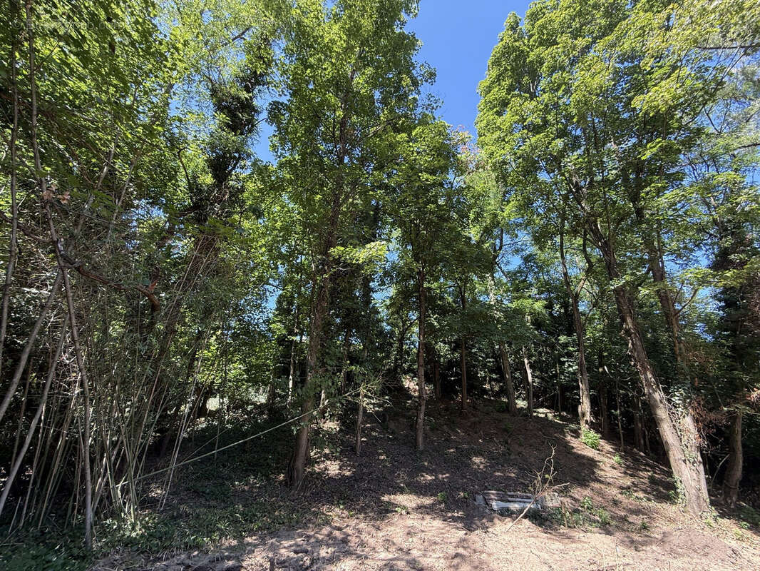 Terrain à CHAPONOST