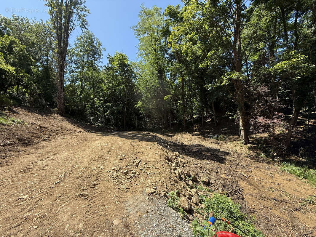 Terrain à CHAPONOST