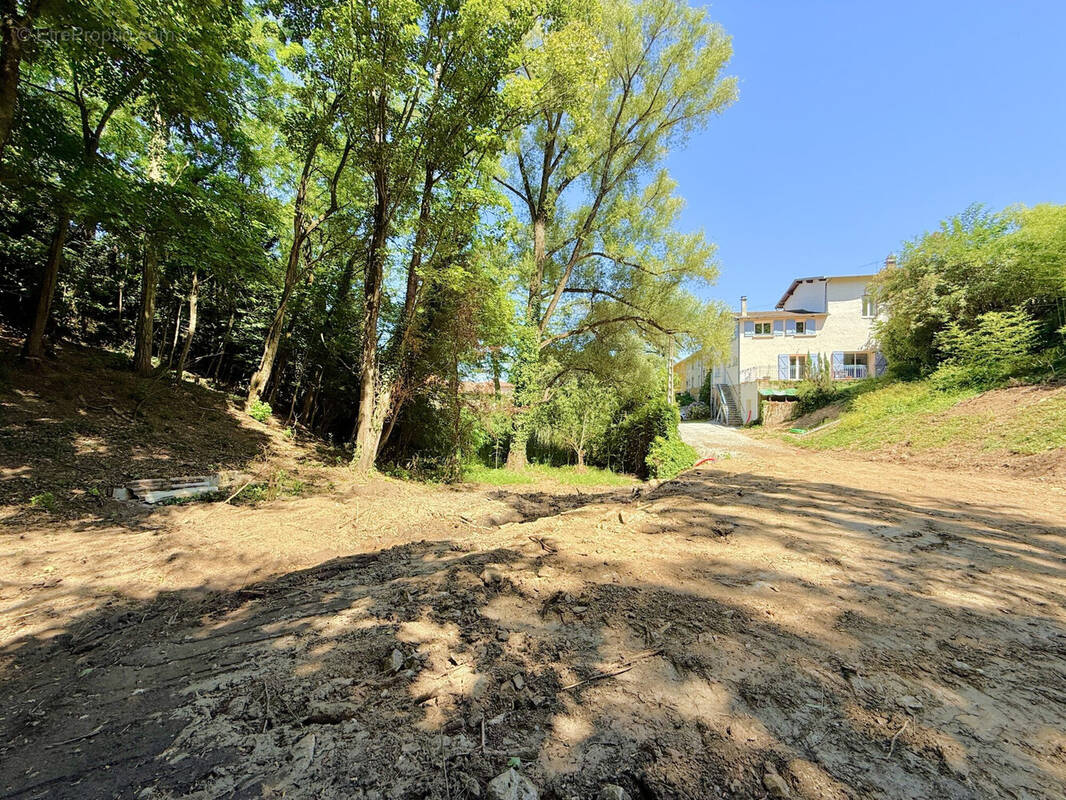 Terrain à CHAPONOST