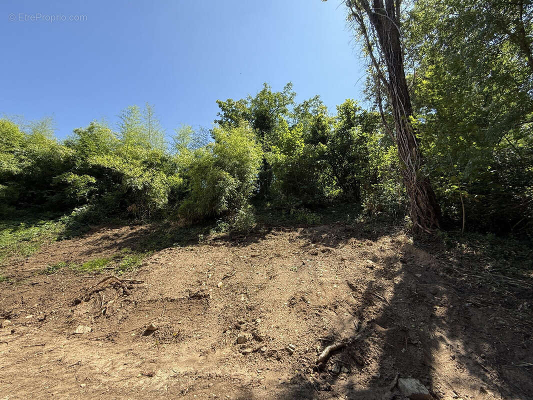 Terrain à CHAPONOST