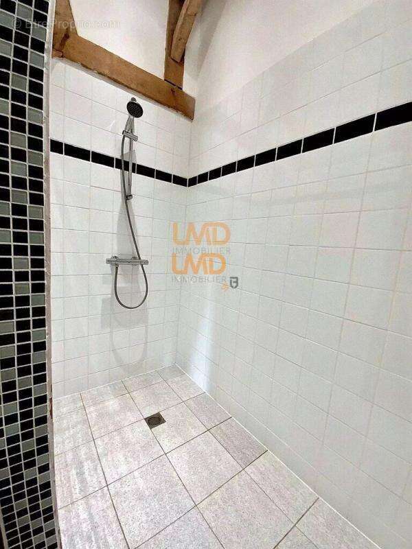 Maison à AZAY-LE-FERRON